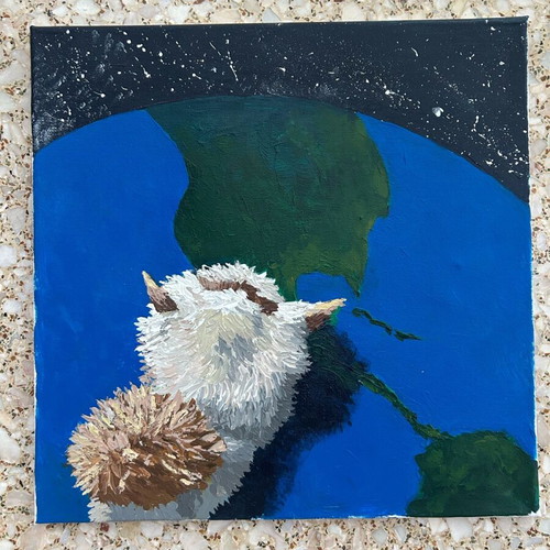 Cat on Earth canvas 40x40 like new