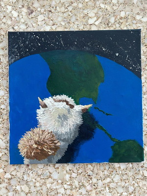 Cat on Earth canvas 40x40 like new