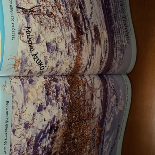 Metamfiesmena Zoa children's book