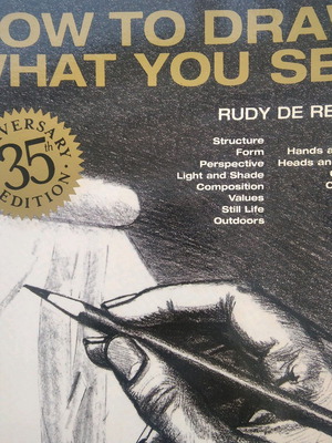 How To Draw What You See book used
