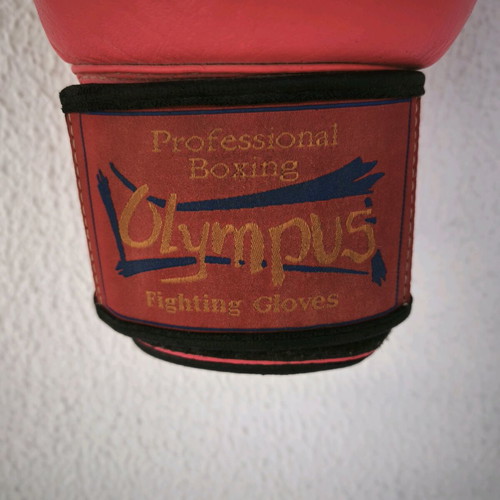 Olympus boxing gloves 10oz, fuchsia