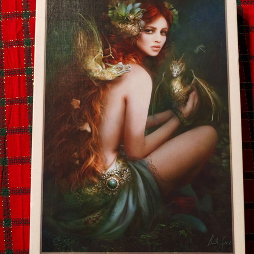 Trefl 1000pcs puzzle used, fantasy art