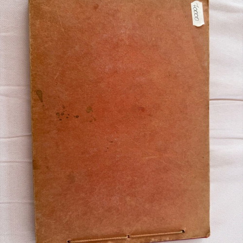 Book Views of Constantinople used, illustrated