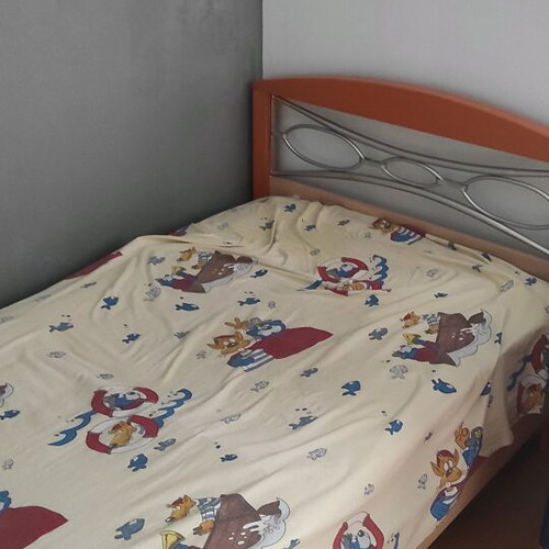 Single bed used with mattress