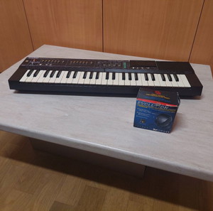 Αρμόνιο Casiotone MT86