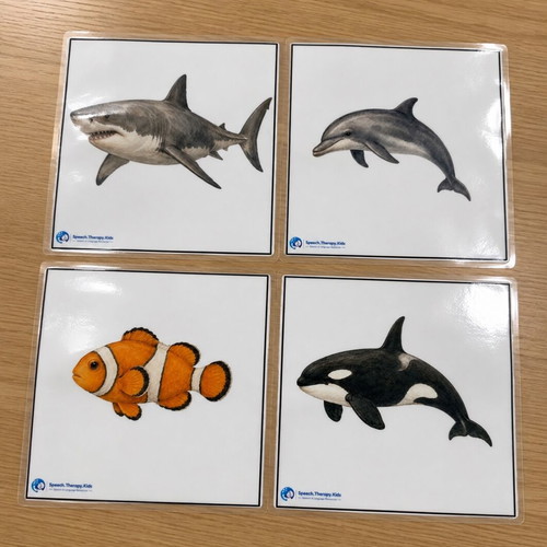 Sea Animals Educational Cards, set of 20