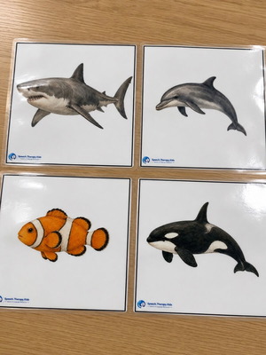 Sea Animals Educational Cards, set of 20