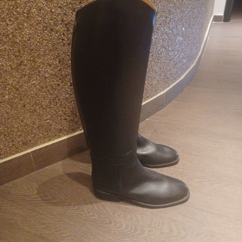 Equestrian shoes new, athletic style, size 37