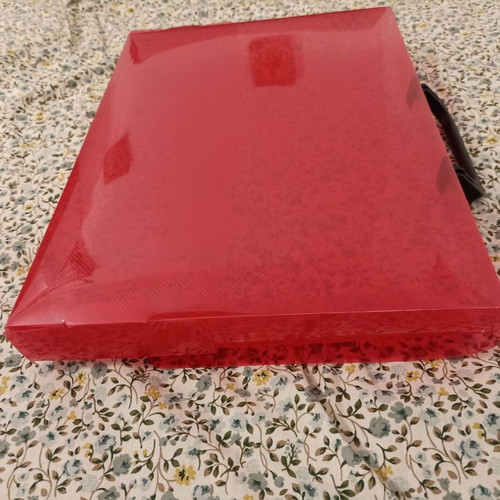 Plastic Document Case with Handle, Red, Like New