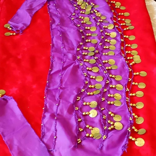 Dance skirt new, purple with ethnic and folklore motifs