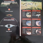 Predators 6 VCD set new, BBC documentary dubbed