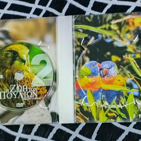 BBC The Life of Birds 4 DVD Like New, Missing One DVD