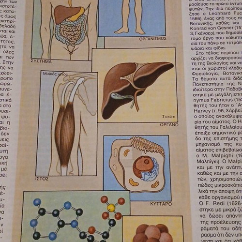 General Biology Educational Encyclopedia Volume 13 like new