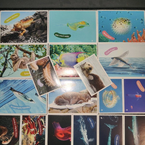 Stickers used 18 pieces set AB Vasilopoulos Exploring the Ocean