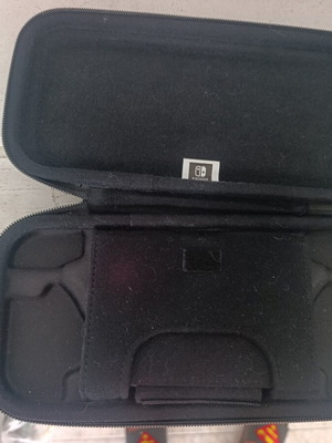 Nintendo Switch carrying case