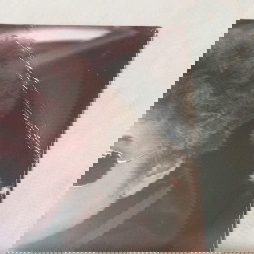 Bob Dylan "tempest" 2πλο LP