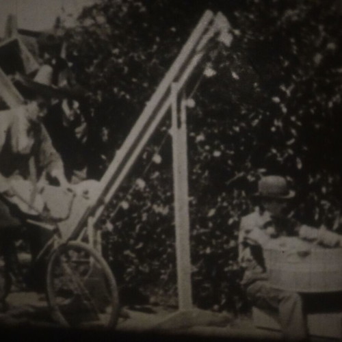 Oranges & Lemons Standard 8mm Silent Film 200ft 1923 Used