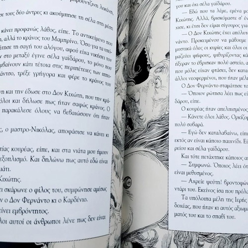 Don Quixote illustrated used book