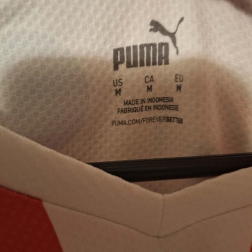 PSV Eindhoven Home Jersey 2022/23 Puma like new, authentic