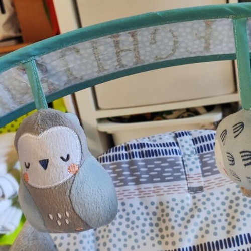 Ingenuity Power Adapt Portable Swing like new