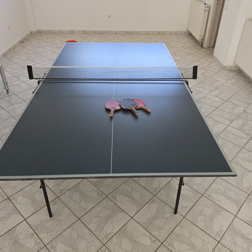 Techno Pro ping pong table