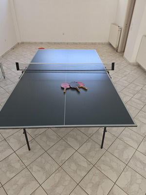 Techno Pro ping pong table