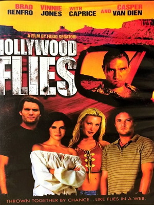 DVD Hollywood Flies μεταχειρισμένο, ταινία δράσης με Brad Renfro και Vinnie Jones