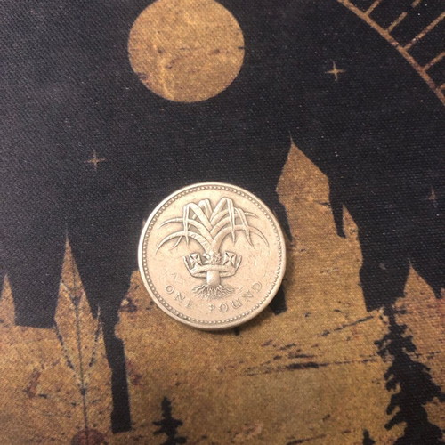 1 Pound Queen Elizabeth 1985 coin used