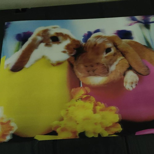 3D Picture With Bunnies In Eggs, Like New, 39x29 cm