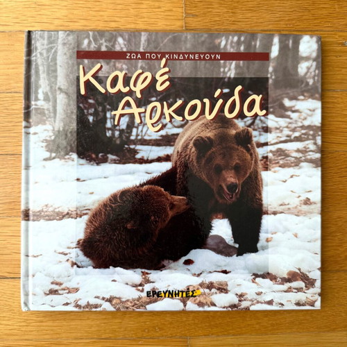 Brown Bear children's book new, hard cover