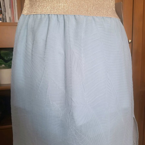 Long transparent skirt with shorts
