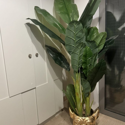 Kare Bulldog Gold Planter with plant new