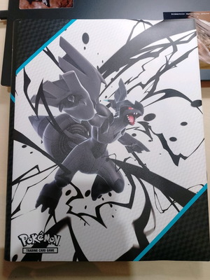 Black Bolt binder with 198 cards and players guide like new