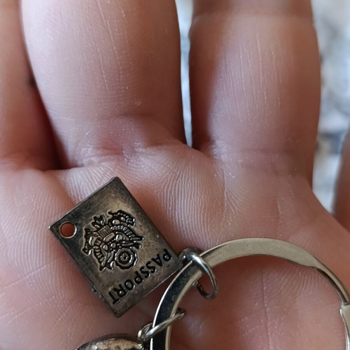 Travel keychain with world map design