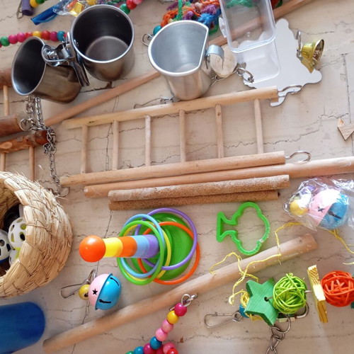 Bird accessories and toys set with transport bag like new