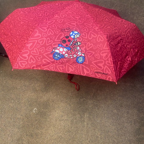 Kukuxumusu umbrella new