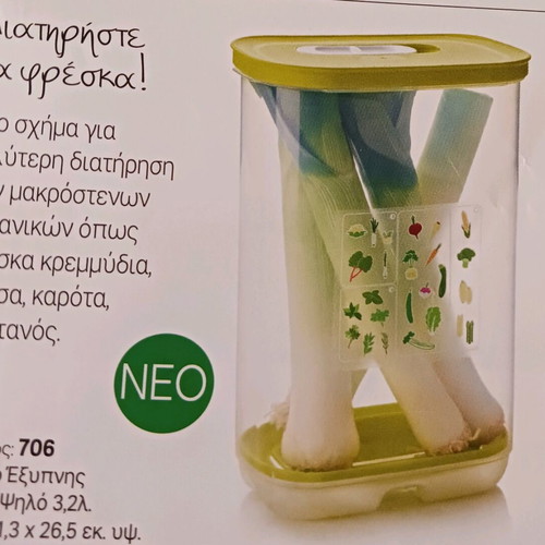 Tall smart cooling container new for vegetables Tupperwer
