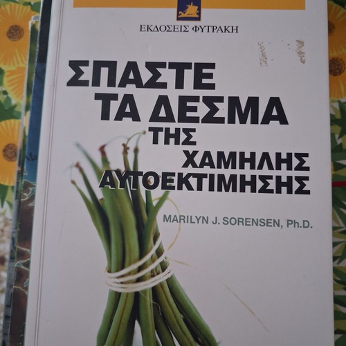 Break the Chains of Low Self-Esteem book new, psychology