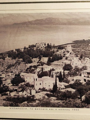 Μεγάλη γκραβούρα Κυπαρίσσια 1950 καινούργια από Σπυρίδωνα Καλαμποκά