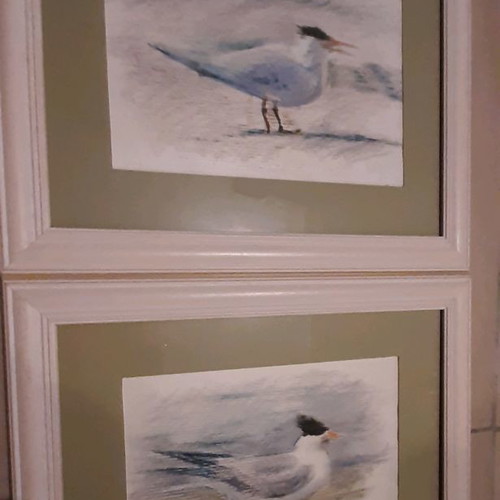 Bird paintings set of 2 new with wooden frames