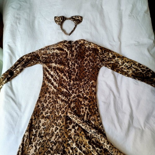 Cat carnival costume like new