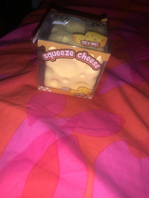 Cheese squishy new