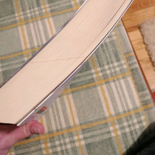 The Witch of Portobello book like new