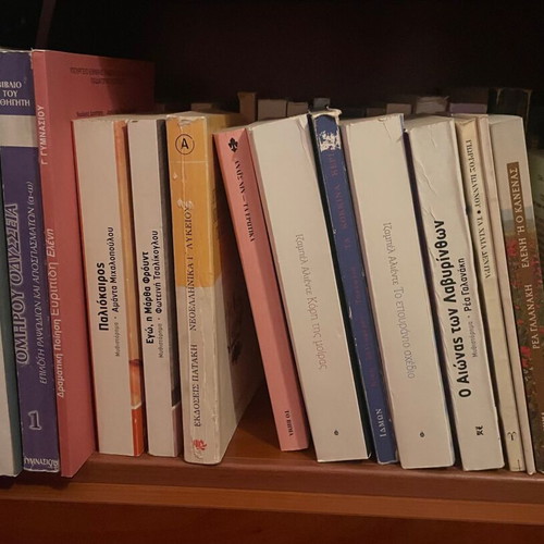Literary, school, and dictionary books used, good condition