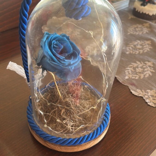 Rose Lamp New