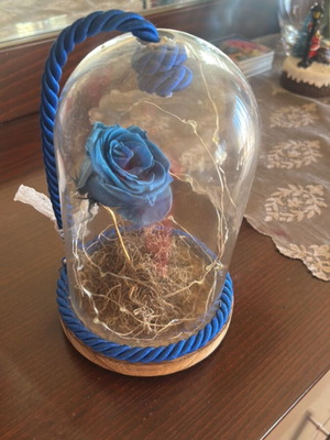 Rose Lamp New
