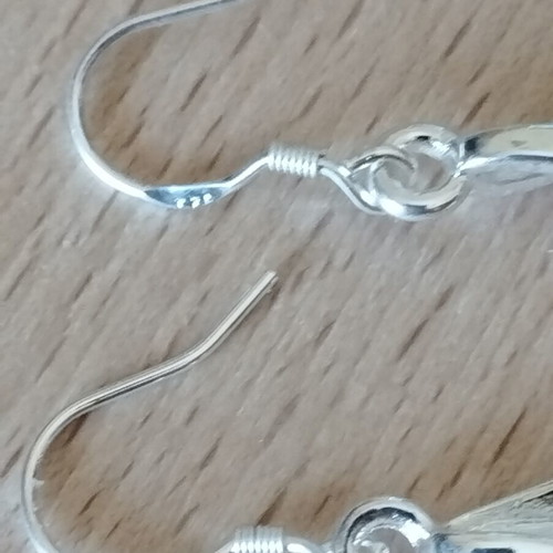 Elegance silver earrings