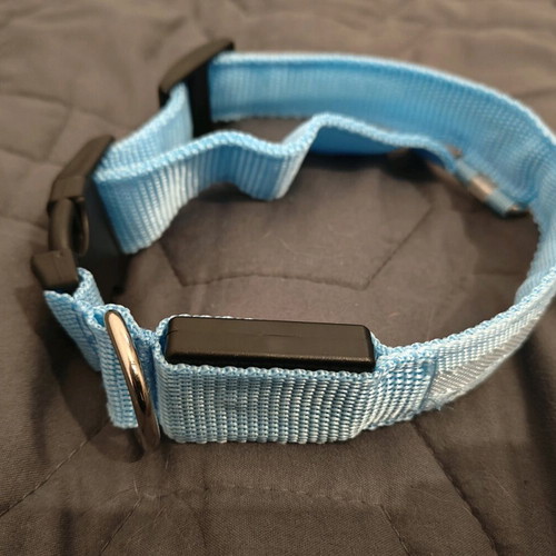 Blue glowing rechargeable dog collar like new