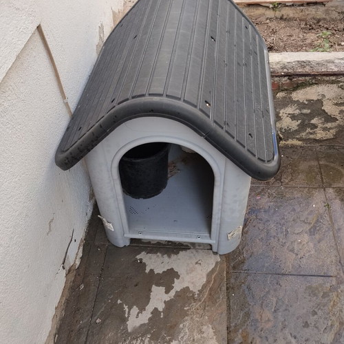 Dog house like new for small and medium dogs