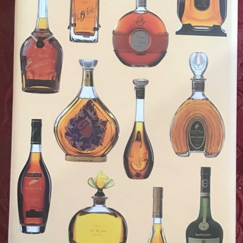 Cognac hardcover book like new, English